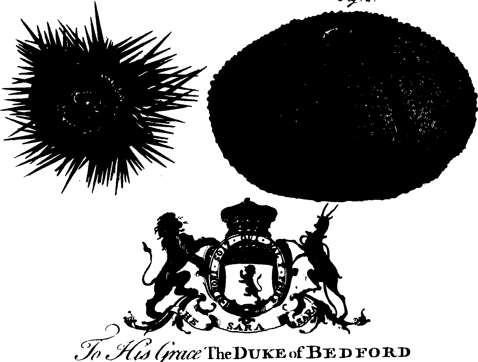 119/119960020003500_1.png