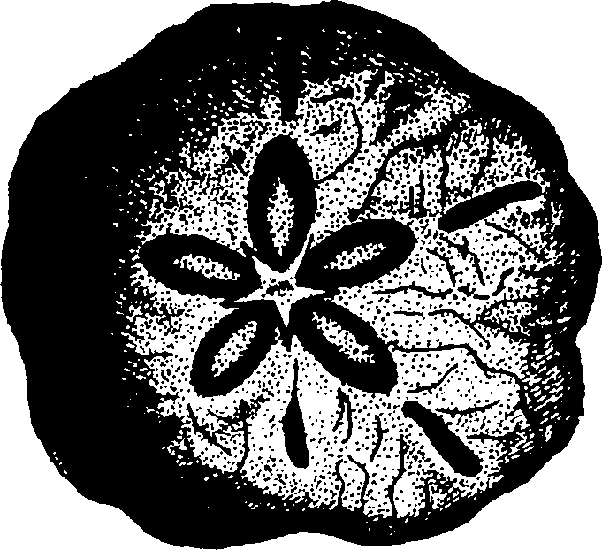 119/119960020003500_2.png