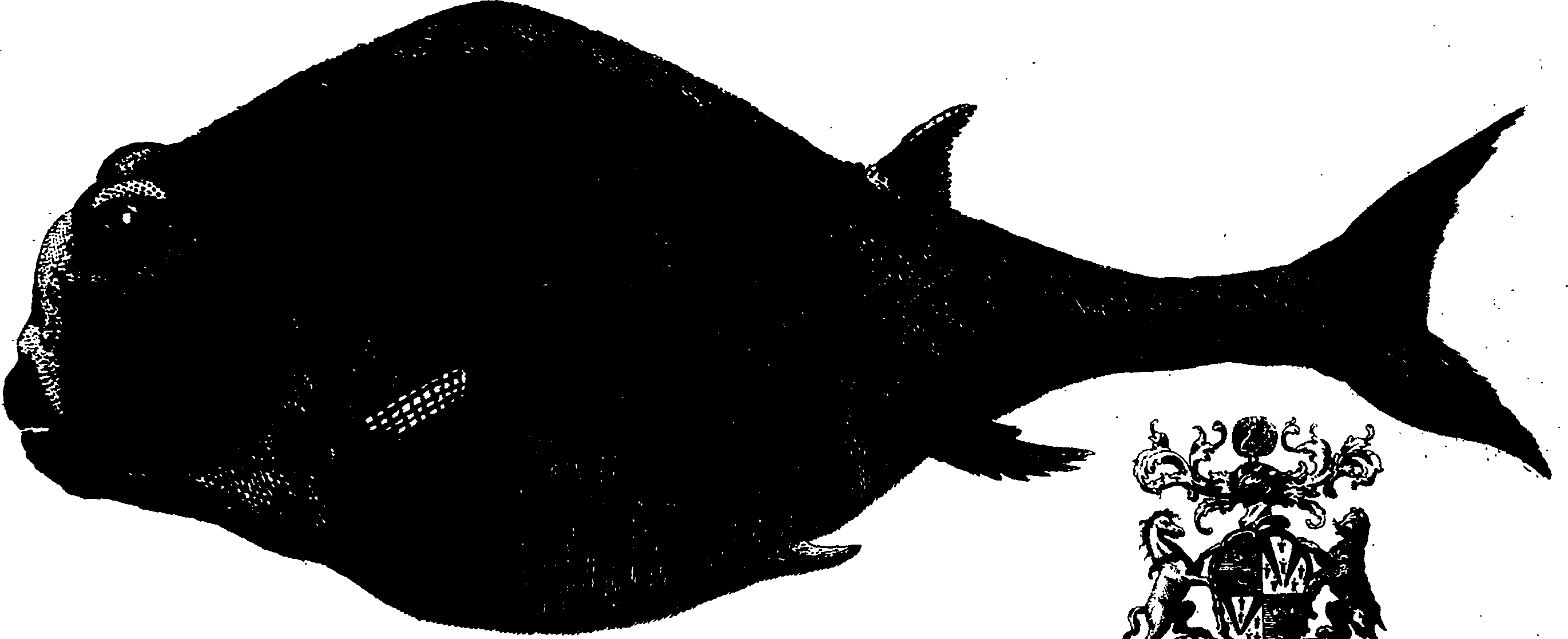 119/119960020003590_0.png