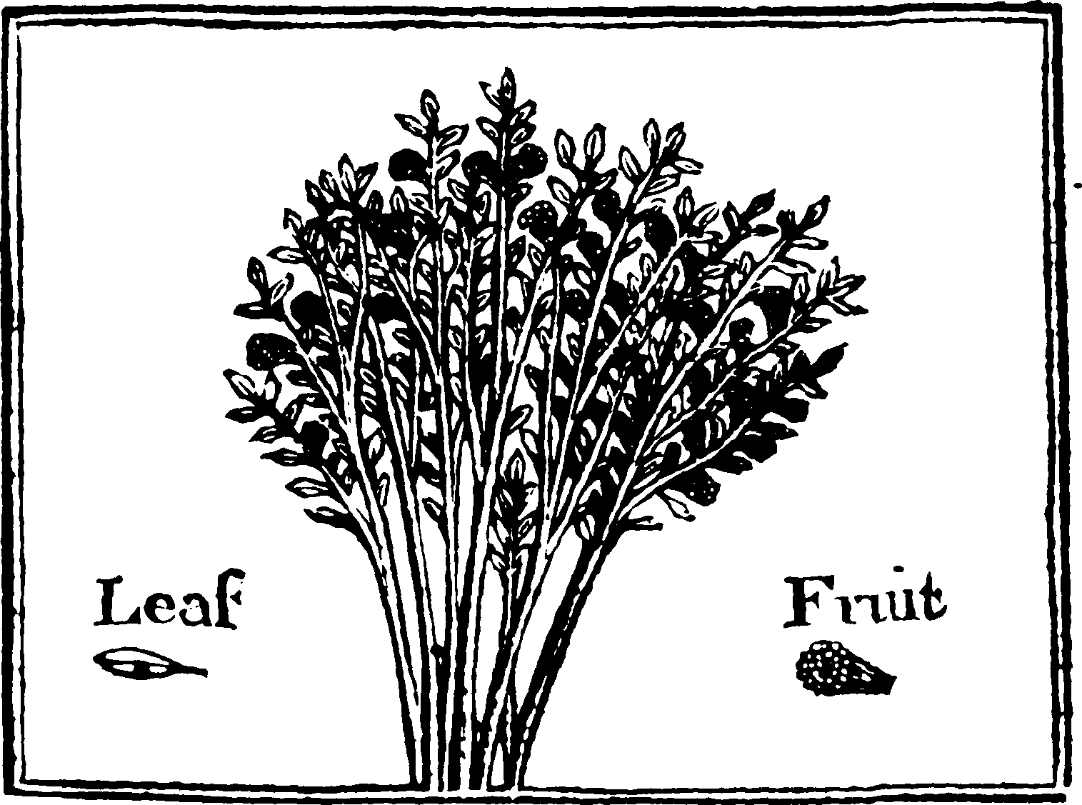 119/119990010001460_0.png