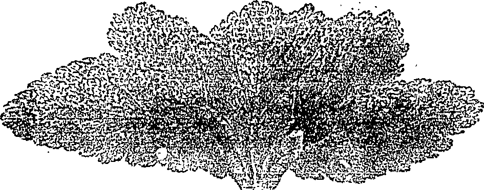 119/119990010001640_0.png