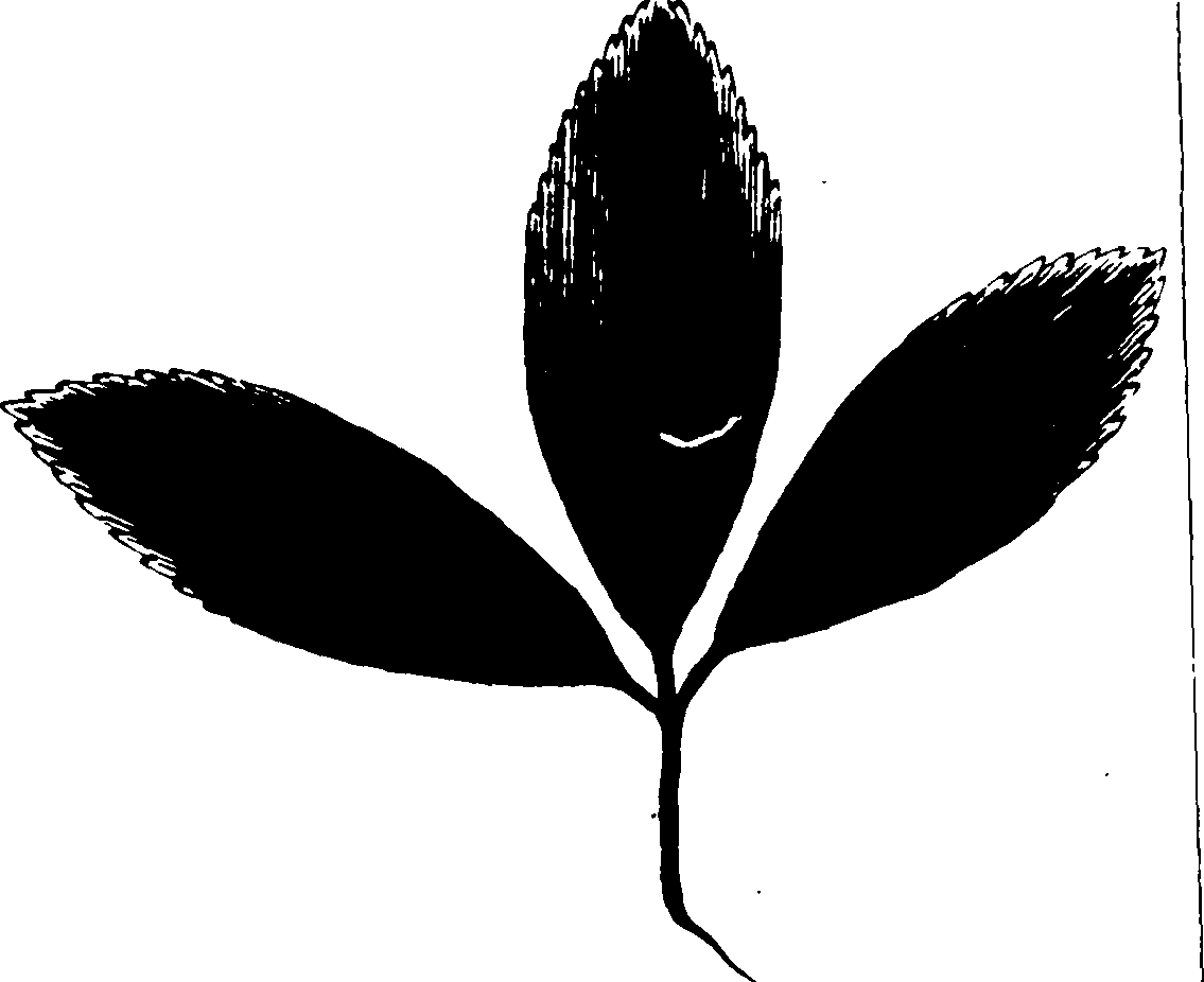 119/119990010004280_0.png