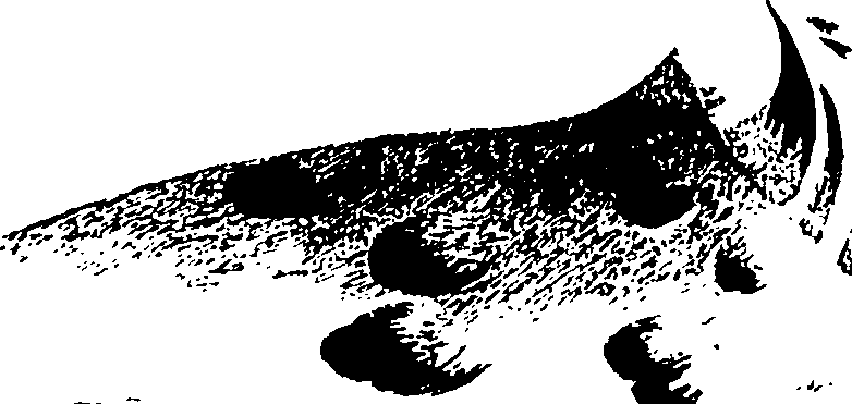 119/119990030000120_1.png