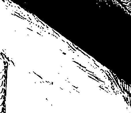119/119990030001910_0.png