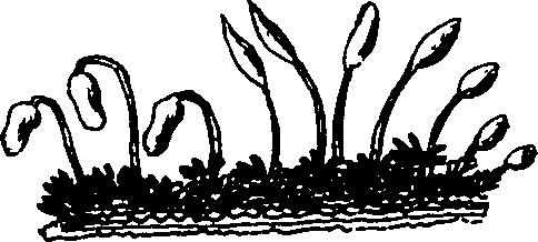 120/120010030002110_0.png