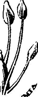 120/120010030002110_1.png