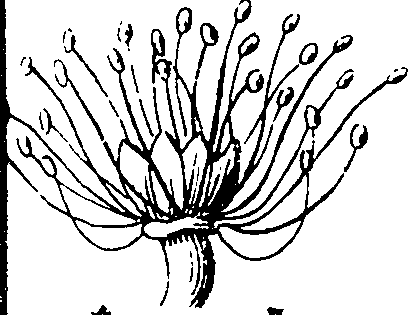 120/120010030002110_3.png