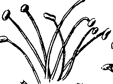 120/120010030002110_5.png