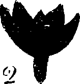120/120010030002120_1.png