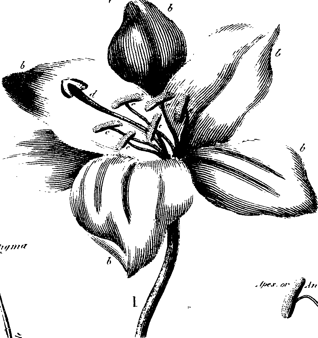 120/120010030002120_2.png