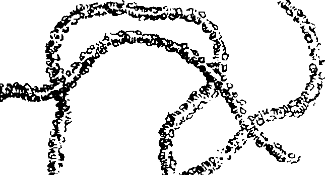 120/120010050000150_0.png