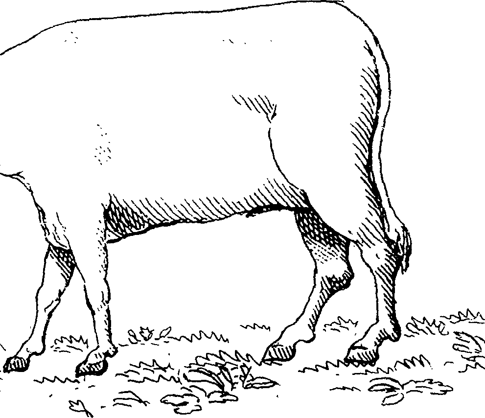 120/120030030003120_1.png