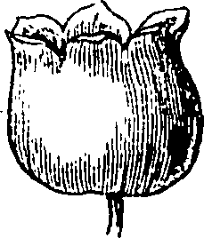 120/120040010105870_1.png