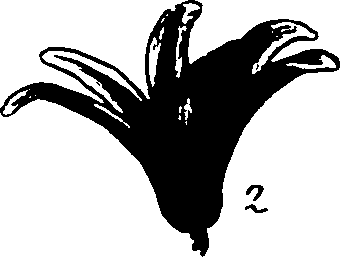 120/120040010105910_0.png