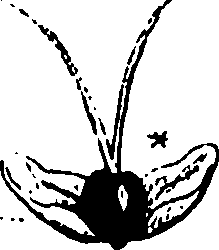 120/120040010105940_0.png
