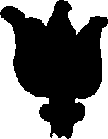 120/120040010105950_1.png