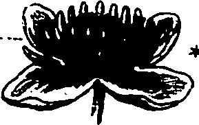 120/120040010105980_0.png