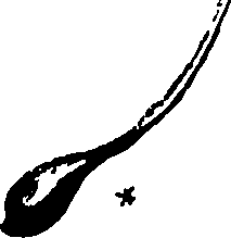 120/120040010105990_0.png