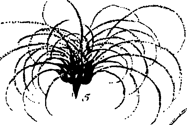 120/120040010105990_1.png