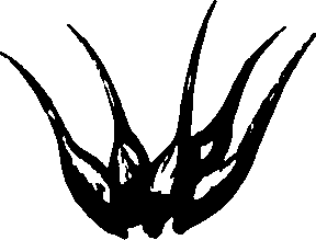 120/120040010106020_0.png