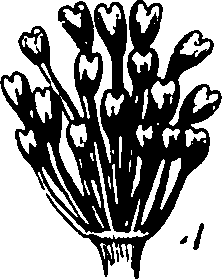 120/120040010106020_1.png