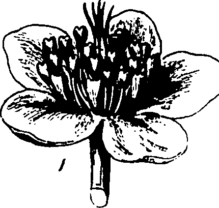 120/120040010106020_2.png