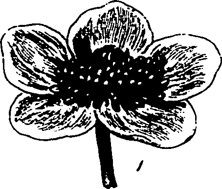 120/120040010106030_1.png