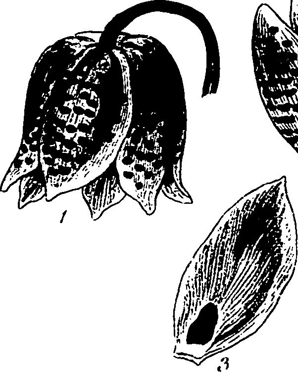 120/120040010106060_0.png