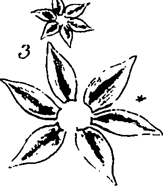 120/120040010106070_0.png