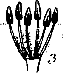 120/120040010106100_0.png