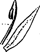 120/120040010106100_1.png