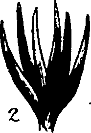 120/120040010106100_2.png