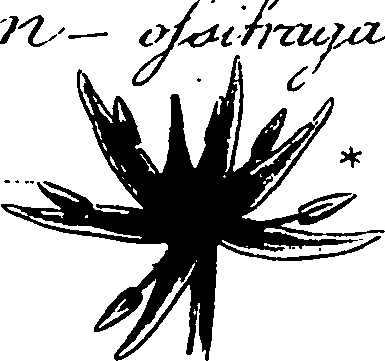 120/120040010106100_3.png