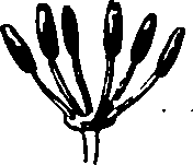 120/120040010106110_1.png