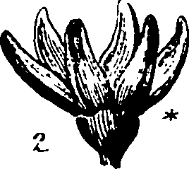 120/120040010106140_0.png