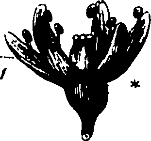 120/120040010106140_1.png