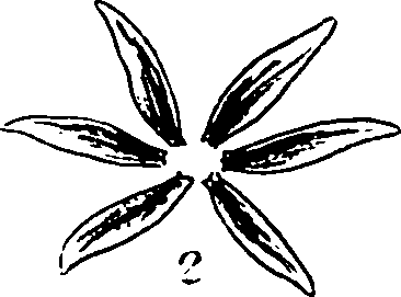 120/120040010106150_0.png
