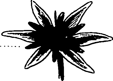 120/120040010106150_1.png
