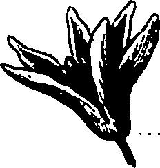 120/120040010106150_2.png