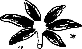 120/120040010106180_1.png