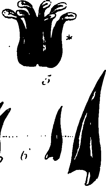 120/120040010106190_0.png