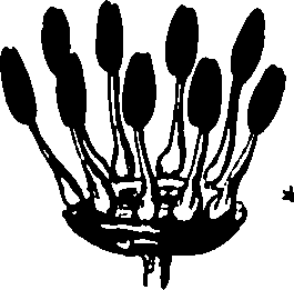 120/120040010106190_1.png
