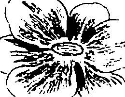 120/120040010106190_2.png