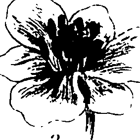 120/120040010106190_3.png