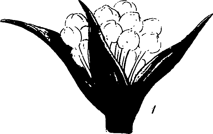 120/120040010106190_4.png