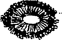 120/120040010106220_0.png