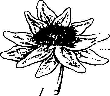 120/120040010106220_1.png