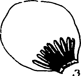120/120040010106230_0.png