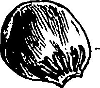 120/120040010106230_1.png