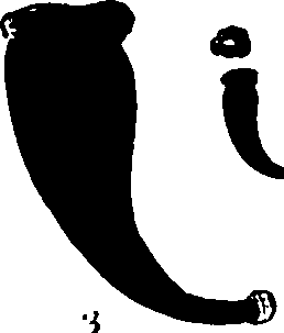 120/120040010106260_1.png
